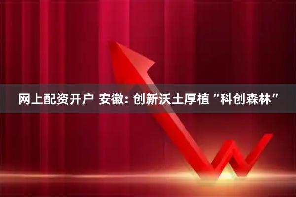 网上配资开户 安徽: 创新沃土厚植“科创森林”