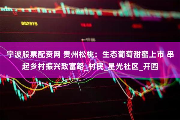 宁波股票配资网 贵州松桃：生态葡萄甜蜜上市 串起乡村振兴致富路_村民_星光社区_开园
