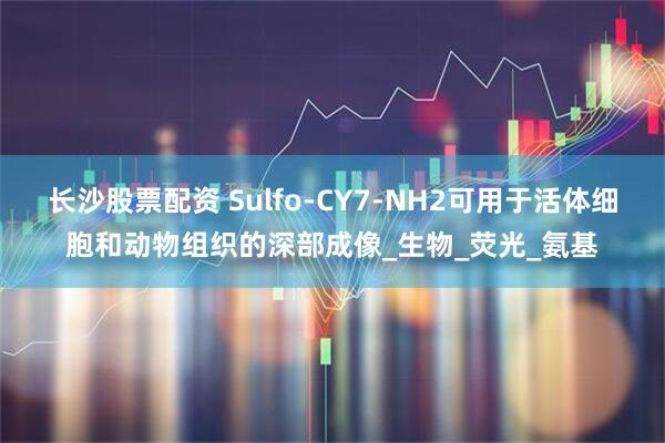 长沙股票配资 Sulfo-CY7-NH2可用于活体细胞和动物组织的深部成像_生物_荧光_氨基