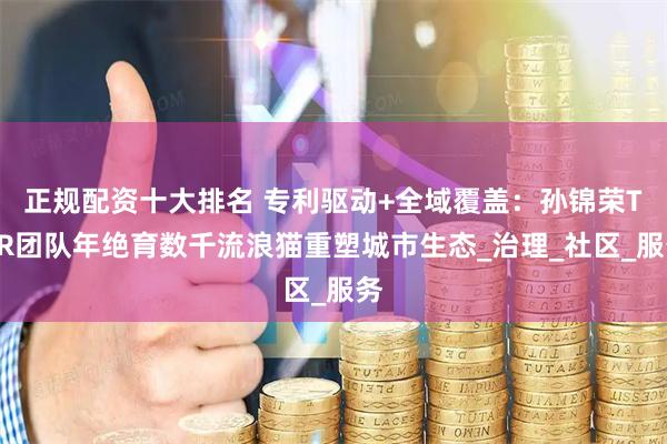 正规配资十大排名 专利驱动+全域覆盖：孙锦荣TNR团队年绝育数千流浪猫重塑城市生态_治理_社区_服务